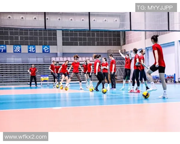 杭州排球队反击体系解析与战术创新探讨