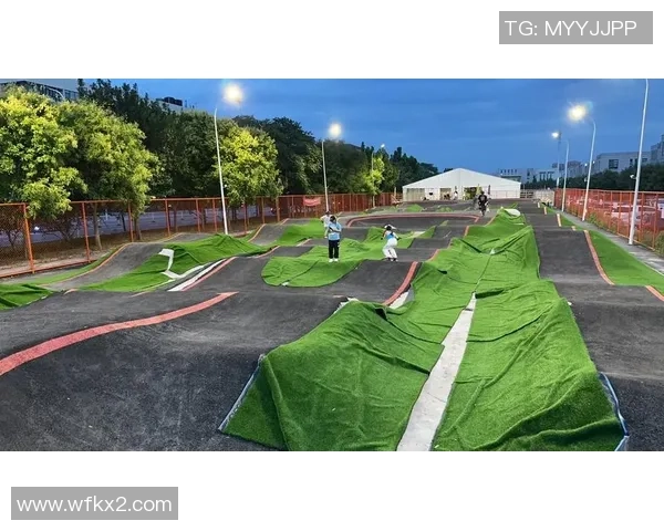 张秀英独家分享滑板技巧与心得体会助你轻松掌握滑板运动的乐趣与挑战