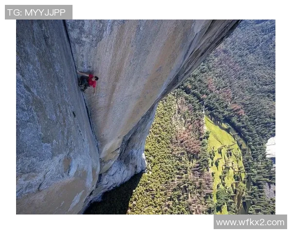 攀岩战术解析：深入探讨上海攀岩队的战术控制与团队协作体系