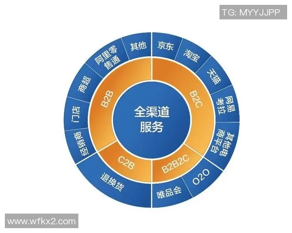 武汉排球队的战术创新与运营体系解析探讨